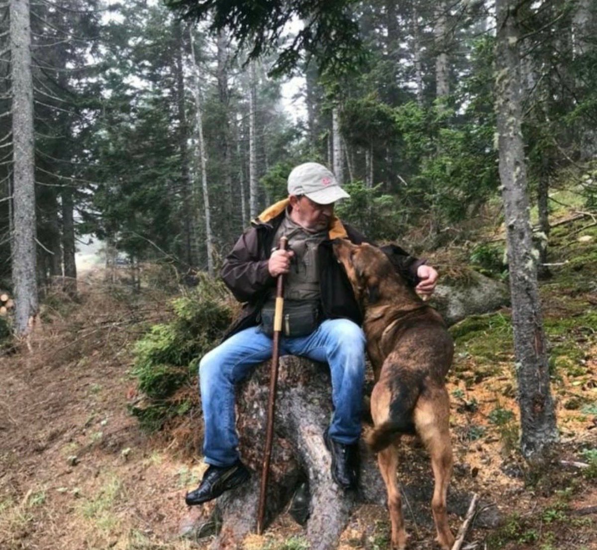 serefoguz's tweet photo. HAYVANLARI ÖLDÜRMEYİN
Sevgi;
Ne bir bedene ihtiyaç duyar,
Ne de bir nedene...
#HayvanKatliamıİstemiyoruz #potam #köpek #kedi #sokakhayvanlarisahipsizdeğildir #uyutulmasın #SokaktayımYanındayım #sevgi #hayvan @serefoguz