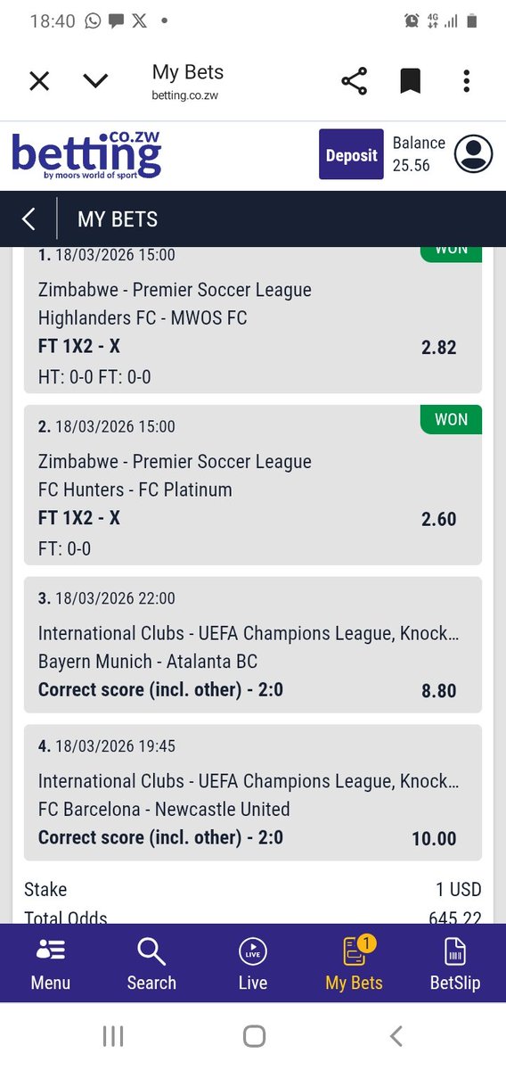 Keabetswe🦡🇧🇼🇩🇪 tweet media