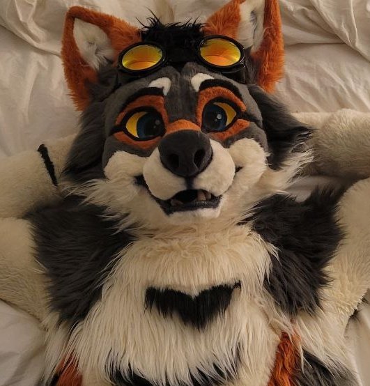 samizzleman tweet media