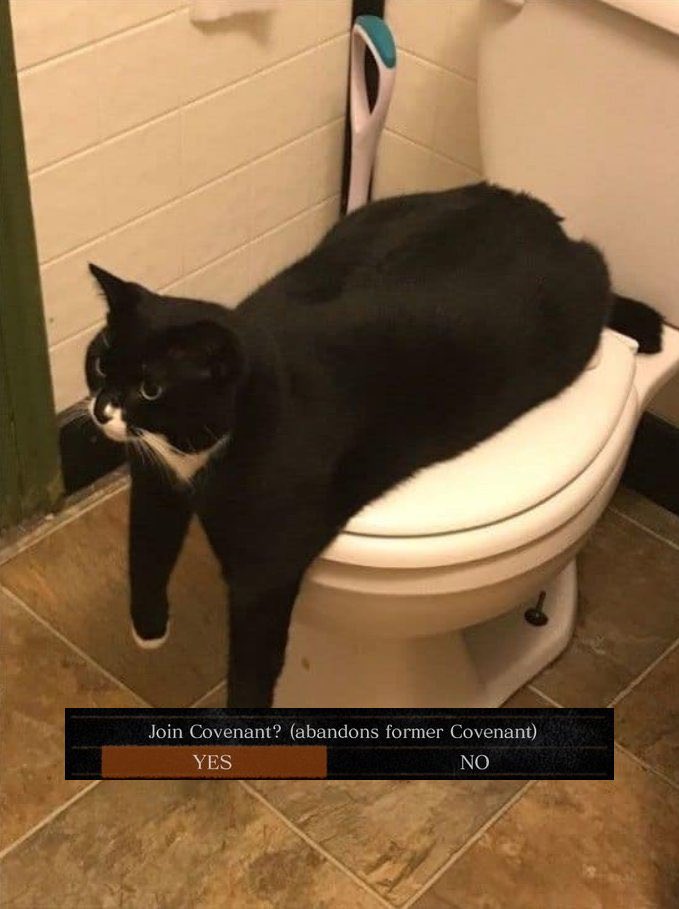 chosen undead tweet media