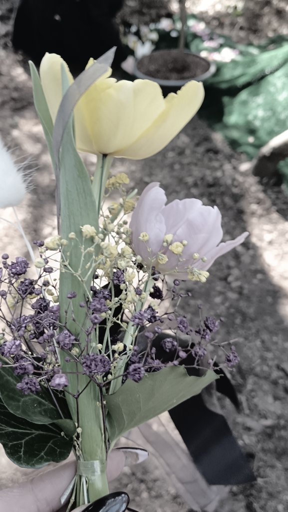 Uschi Gras tweet media