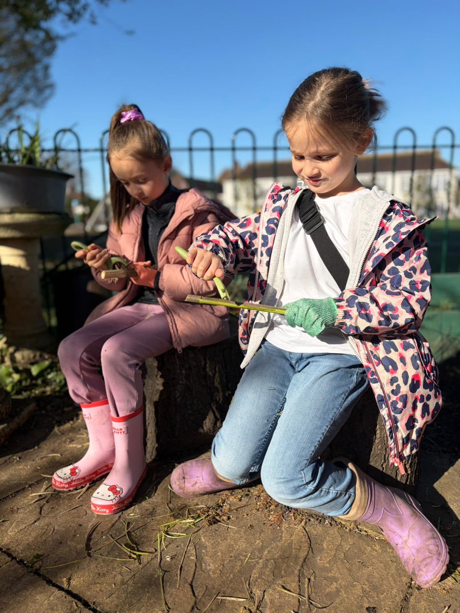 LEOforestschool's tweet image. ✨ Magic in the woods! 🧙‍♂️🌳
Year 2 @cheamparkfarm turned Elder branches into handcrafted magic wands at Forest School today! We practiced safe whittling and used our imagination to bring the forest to life. The favorite spell of the day? "ABRACADABRA !" ⚡️✨
#ForestSchool #Year2
