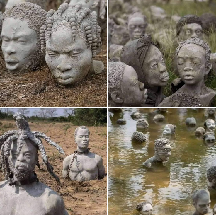 African Hub tweet media