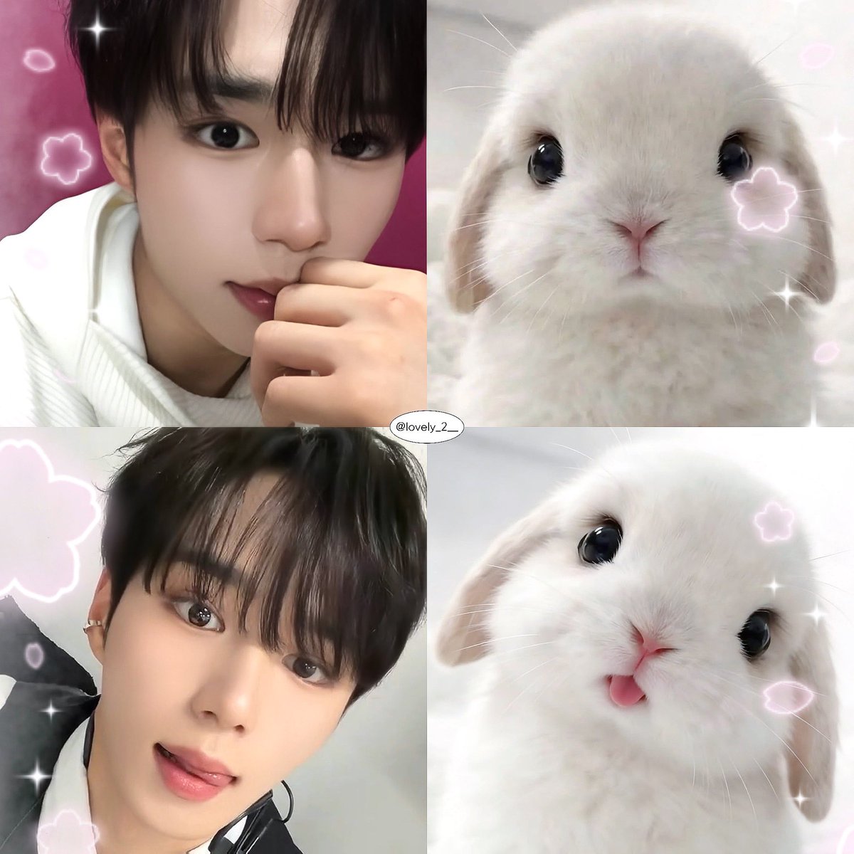 아기햇살, Junseo tweet media