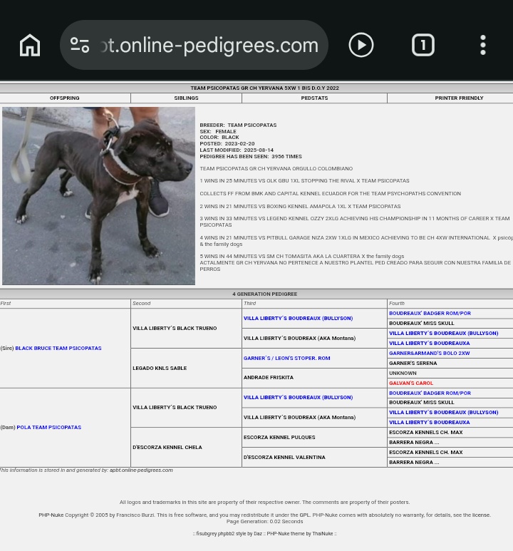 uǝʌɐꓤ tweet media