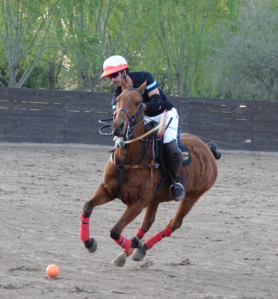 ARGPOLODAY tweet media