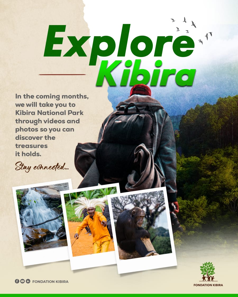 Fondation Kibira tweet media