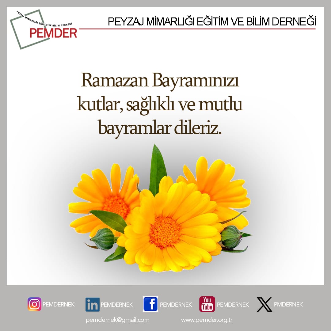 pmdernek's tweet photo. https://t.co/P8JsS7TqZe