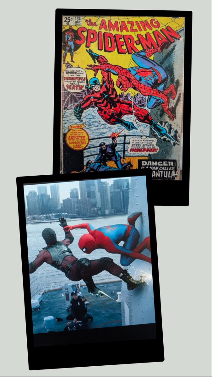 Preston Feiler tweet media