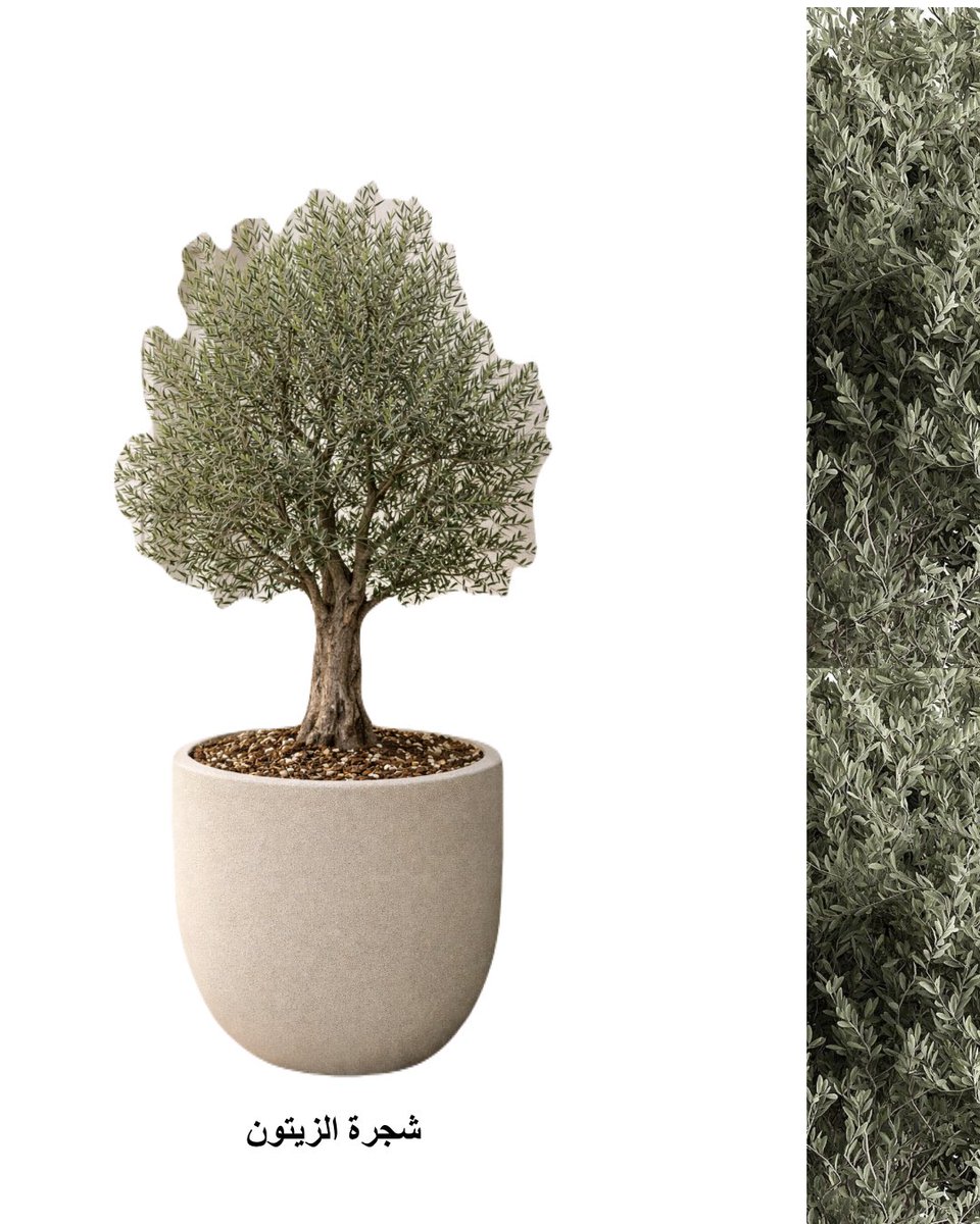 أدوات الحديقة tweet media