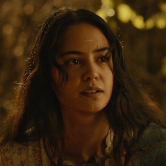 dana evans shady facts tweet media