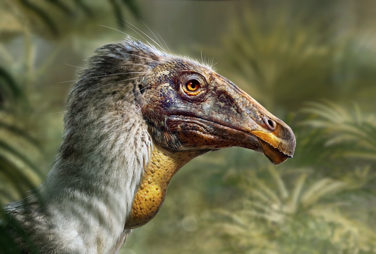 DragonsofWales 🇪🇺🏴󠁧󠁢󠁷󠁬󠁳󠁿 tweet media