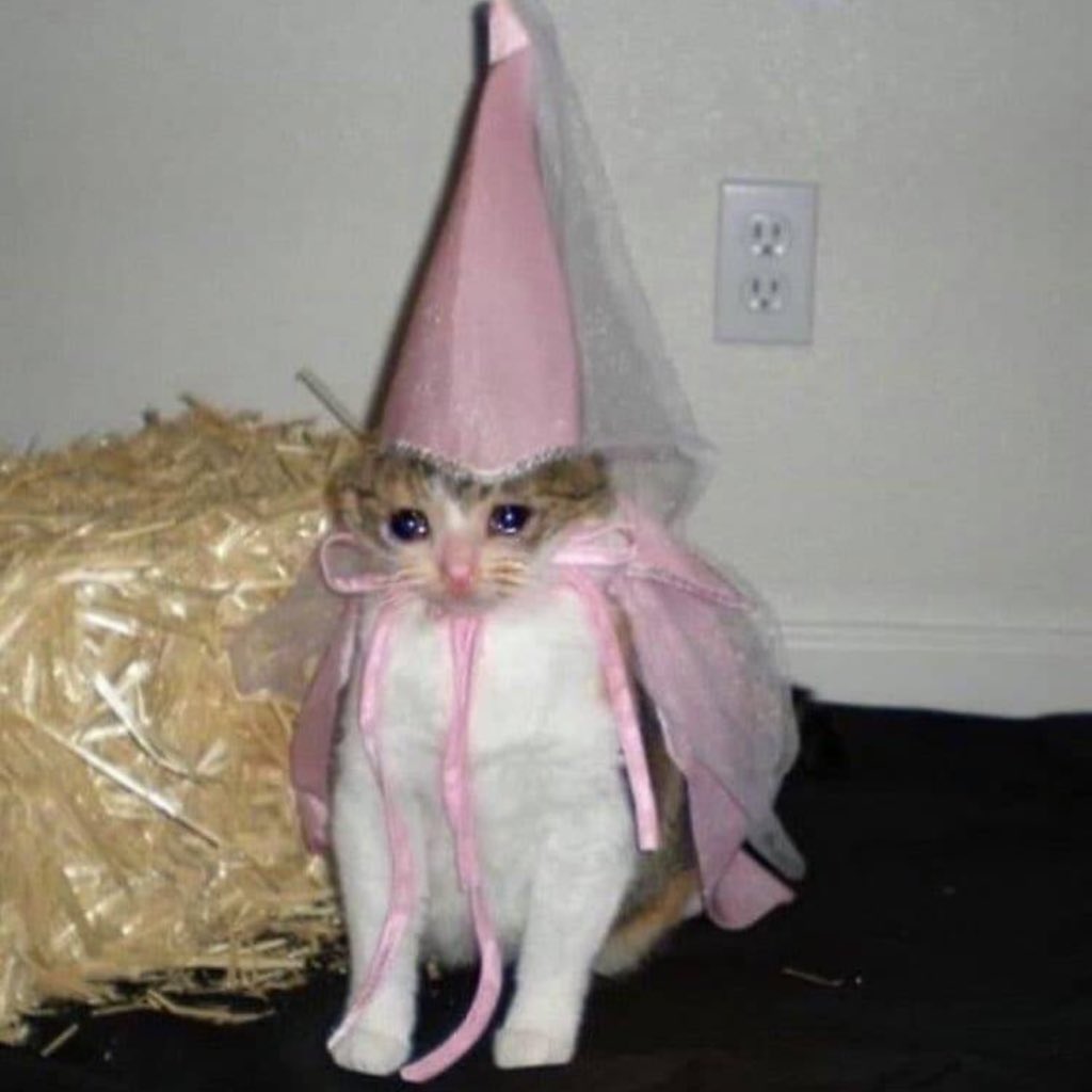 mimichka tweet media