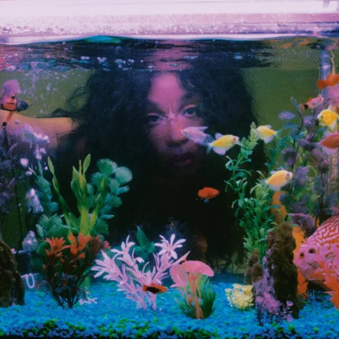 SZA Charts tweet media