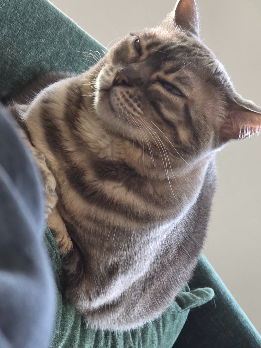 TagBackTV tweet media