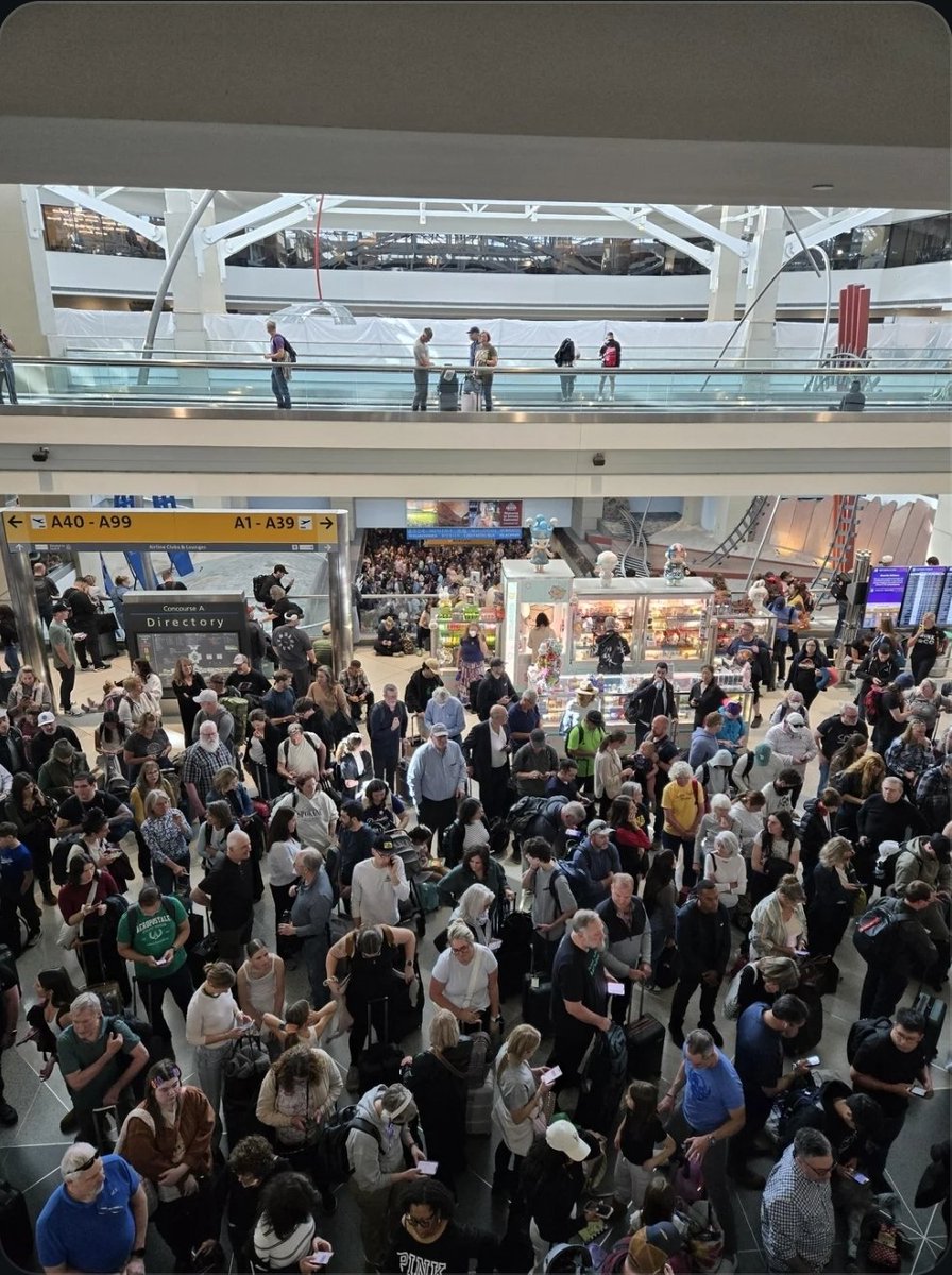 Dagnum P.I. tweet media