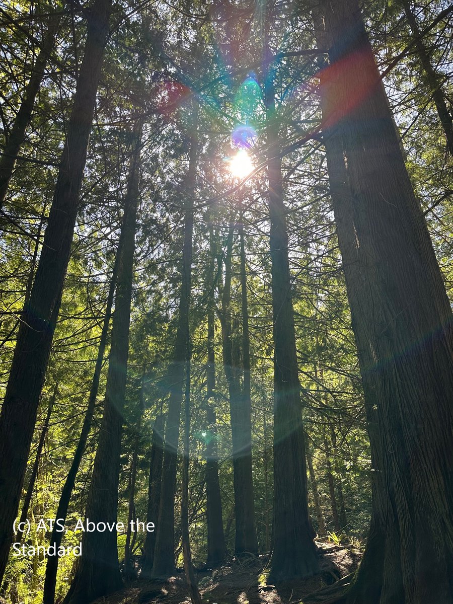 Ben Landgraf tweet media