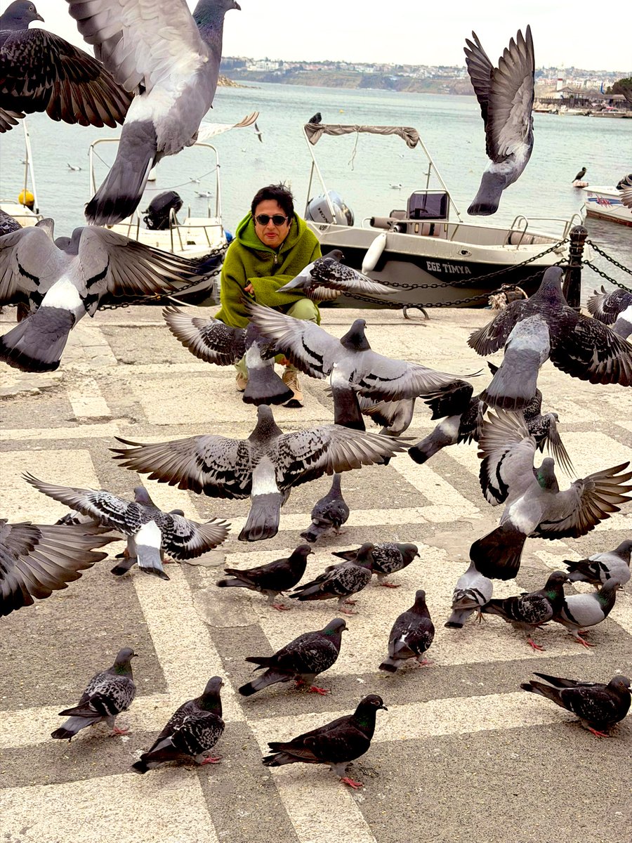 Hayat bazen tam önümden kanatlanıp geçiyor…