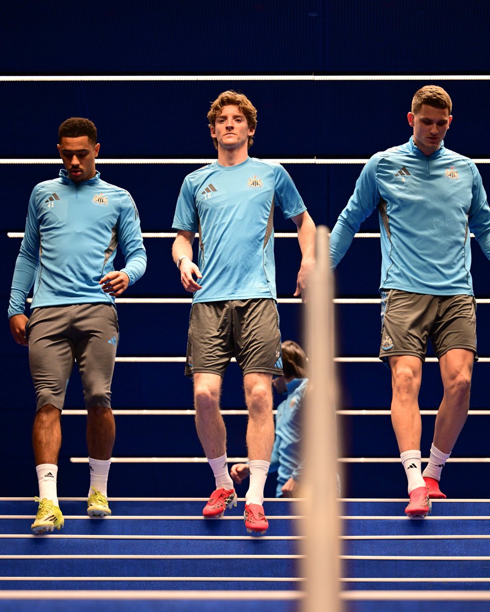 HF World tweet media