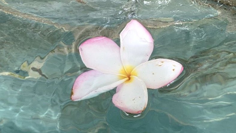 𝒍𝒖𝒏𝒂 tweet media