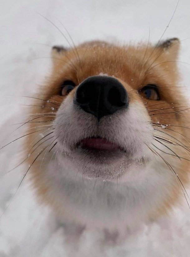 Vinny Valley tweet media