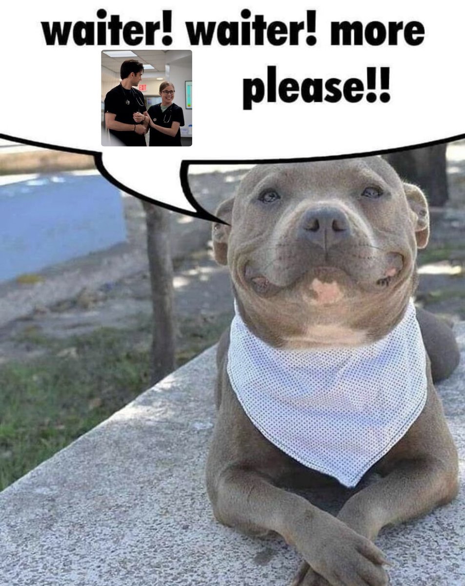 gen 🩻 tweet media