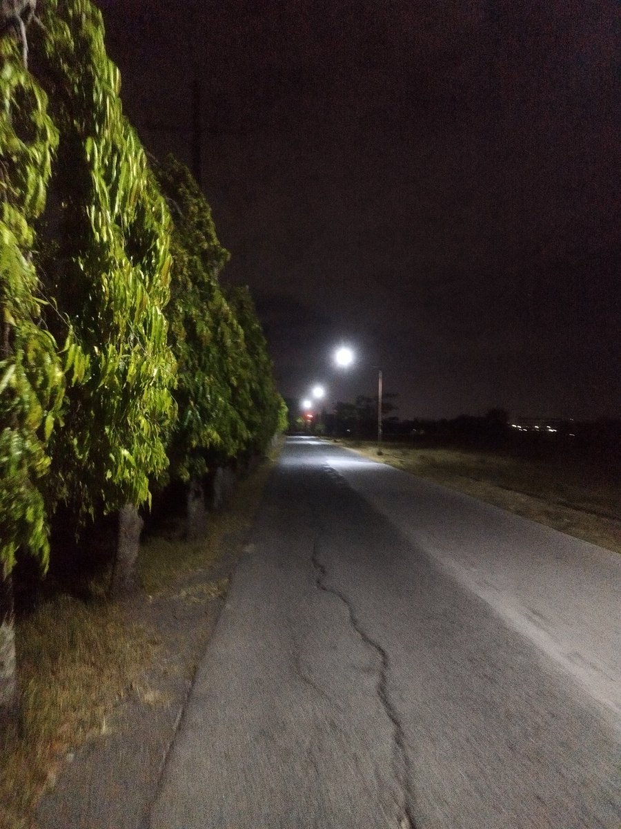 hanselcream's tweet photo. Walk trip: Walter -> Lantic 
42mins https://t.co/EFhPaxF19B