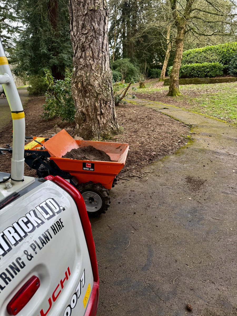 Noel Fitzpatrick Ltd tweet media