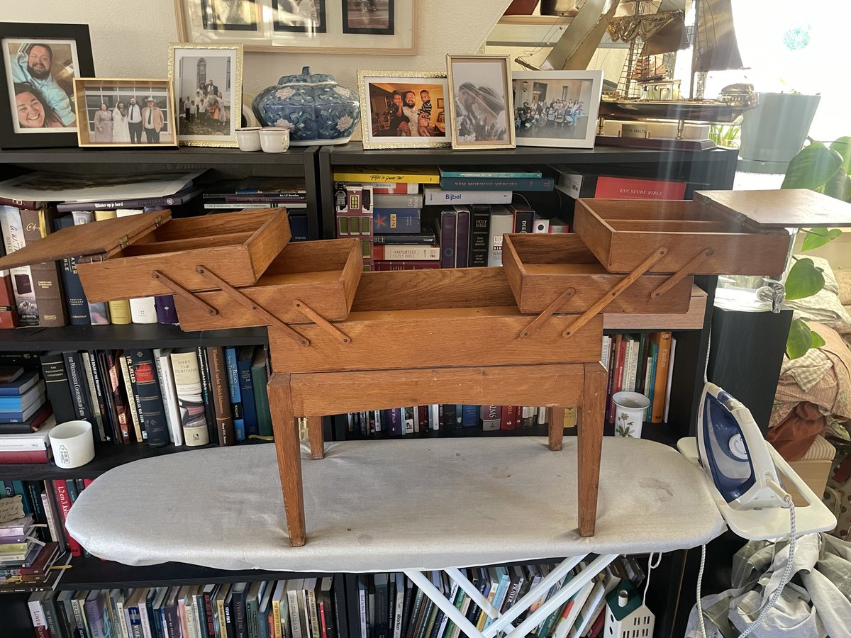 Logan 🇺🇸🇳🇱 tweet media