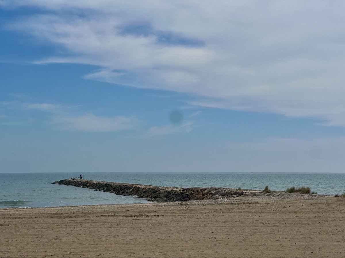 danielmocher tweet media