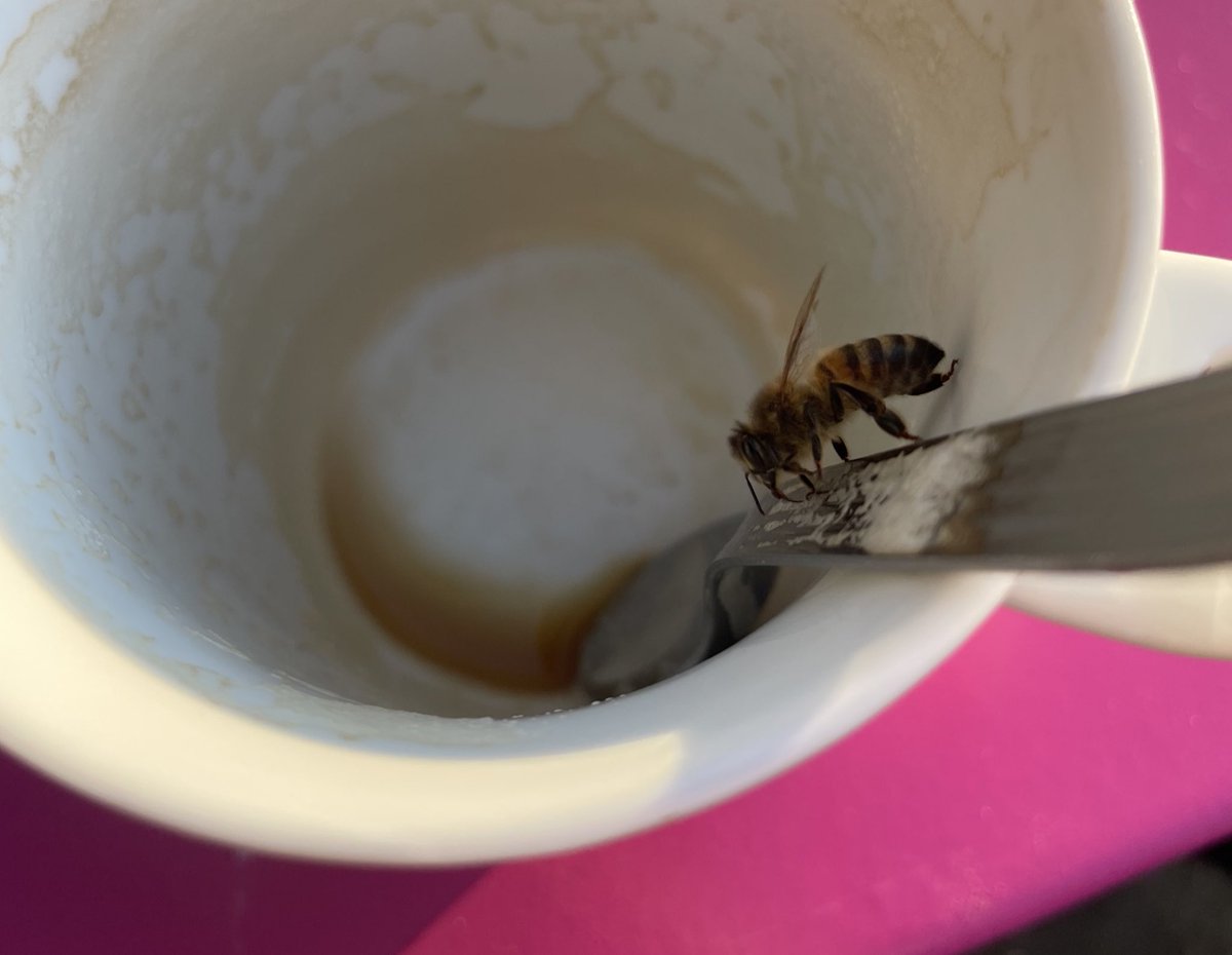 ᆞ𝒵ᆞᆞ𝑜 ᆞ𝑒 tweet media