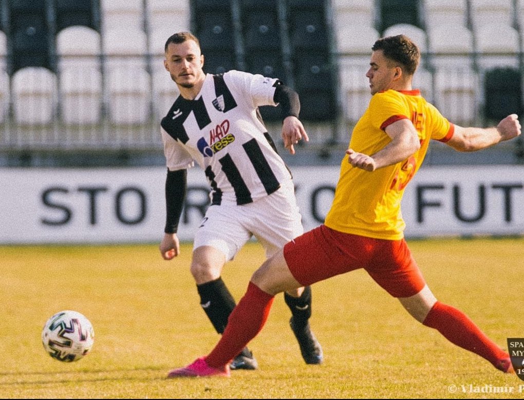 PolyMax 💎 tweet media