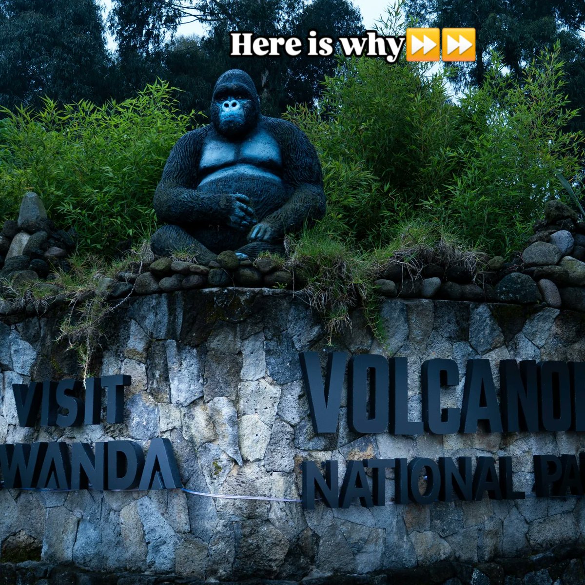 Tembera 250 (Travel 🇷🇼) tweet media