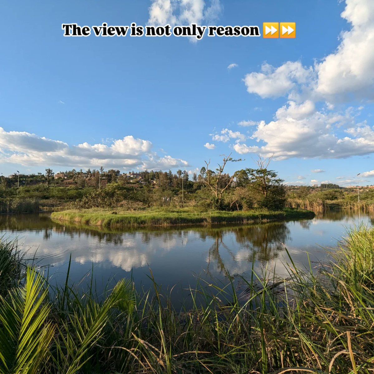 Tembera 250 (Travel 🇷🇼) tweet media