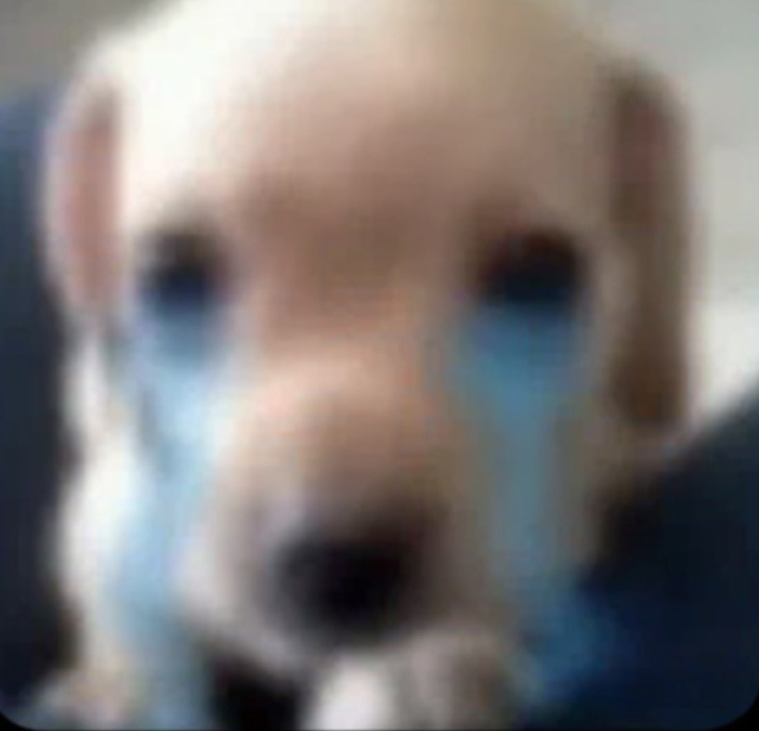 alleyc@t tweet media