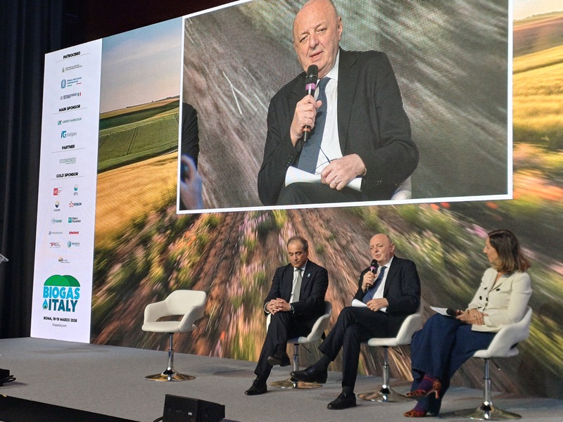 Staffetta Quotidiana tweet media