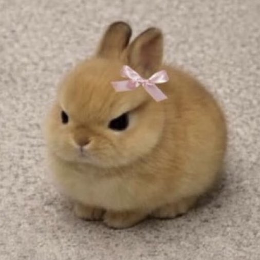 Sangwon. tweet media