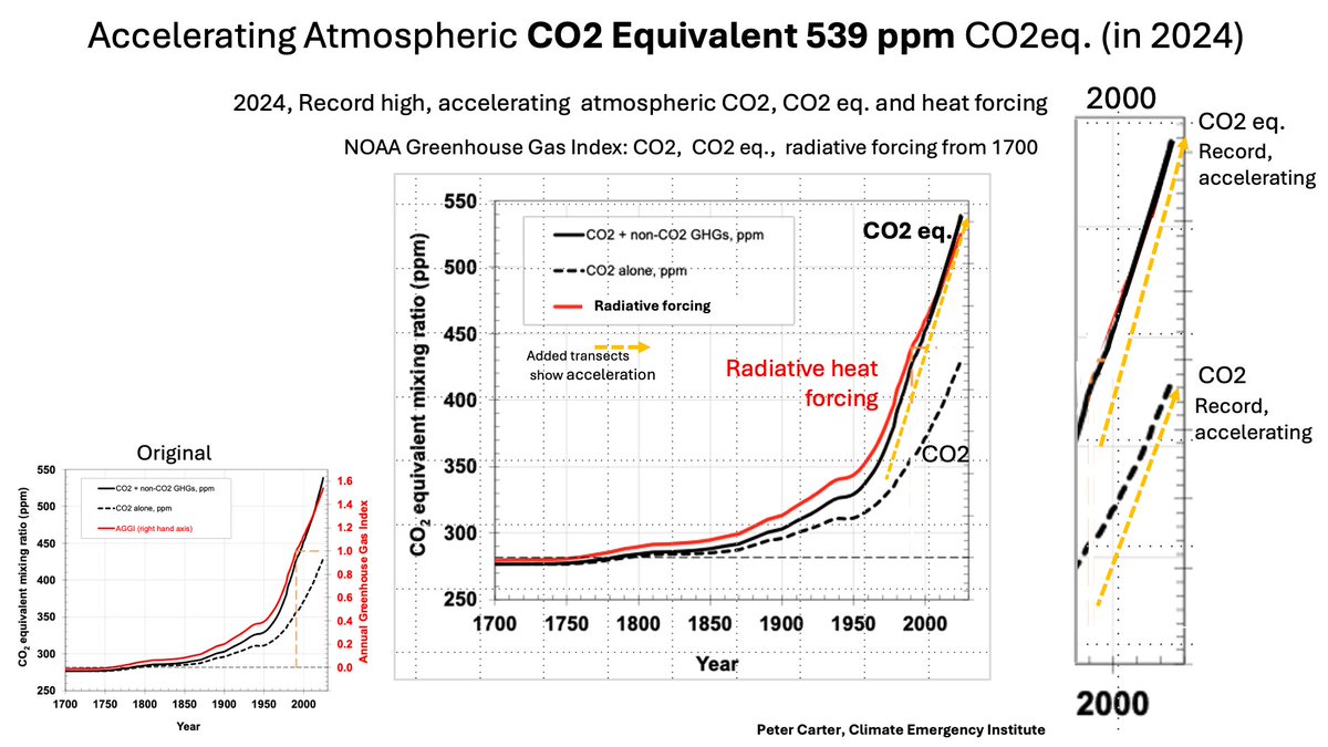 Peter D Carter tweet media