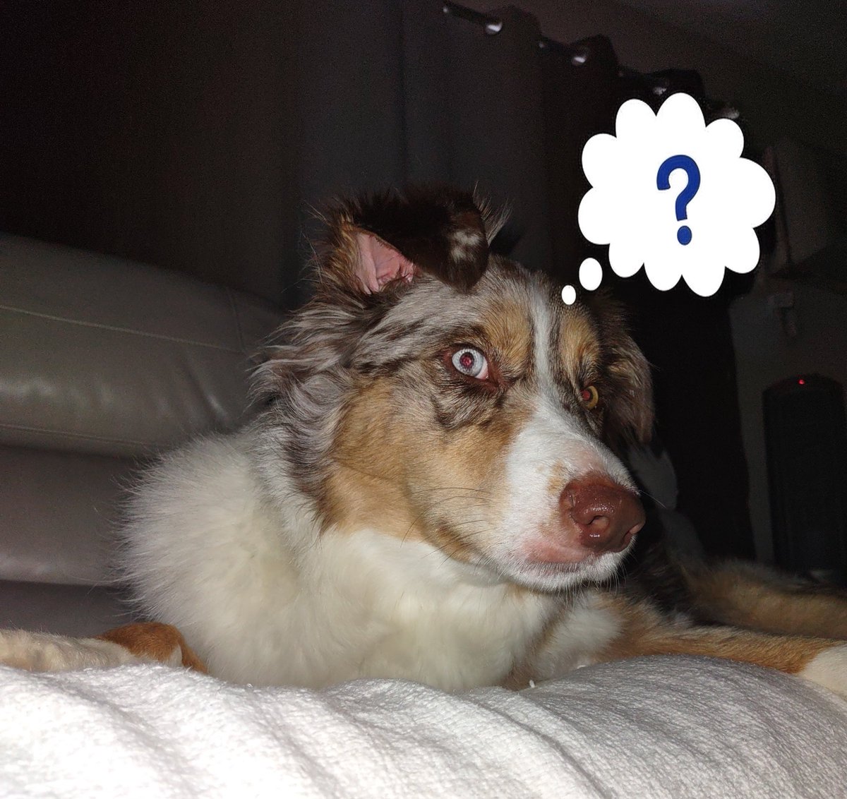 Susan 🫂 tweet media