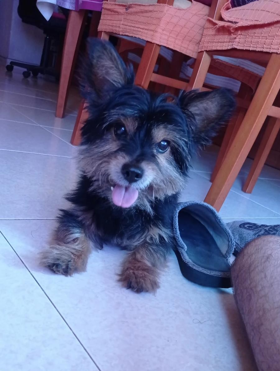 ThisIsRellow tweet media