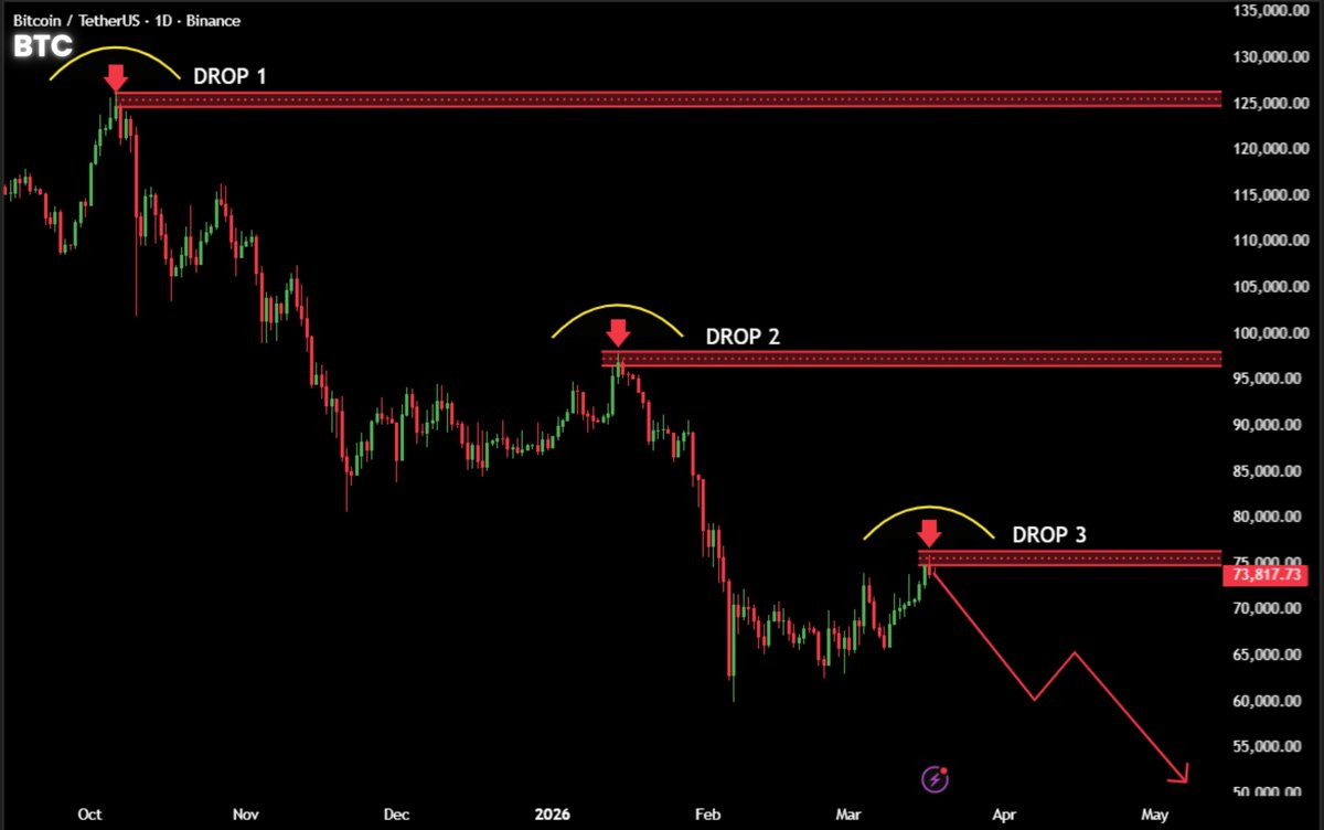 Whale Factor tweet media