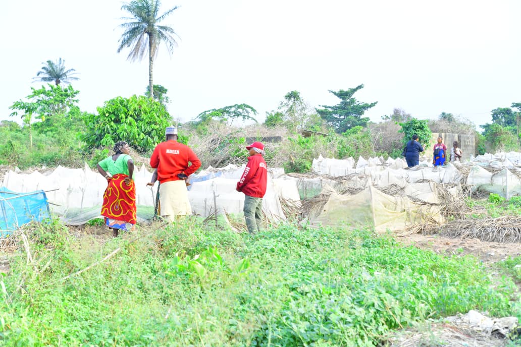 UNODC Alternative and Sustainable Livelihoods tweet media