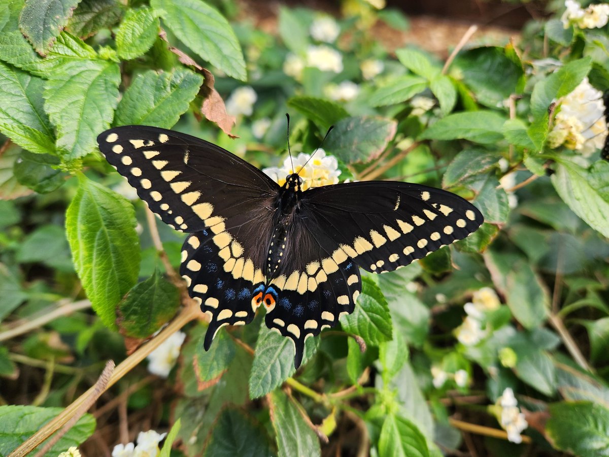 The Joyful Wife 🌷🐰 tweet media