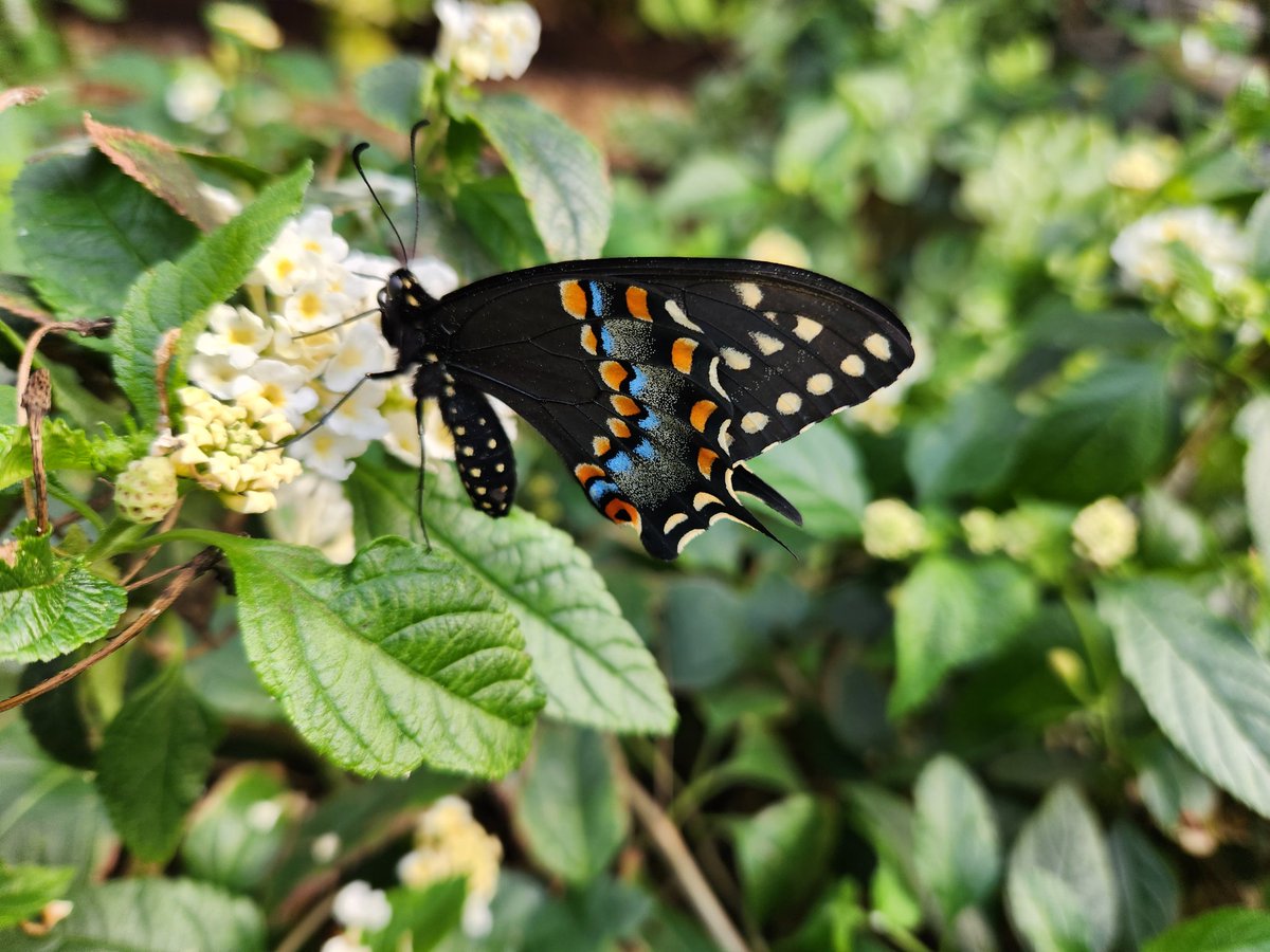 The Joyful Wife 🌷🐰 tweet media