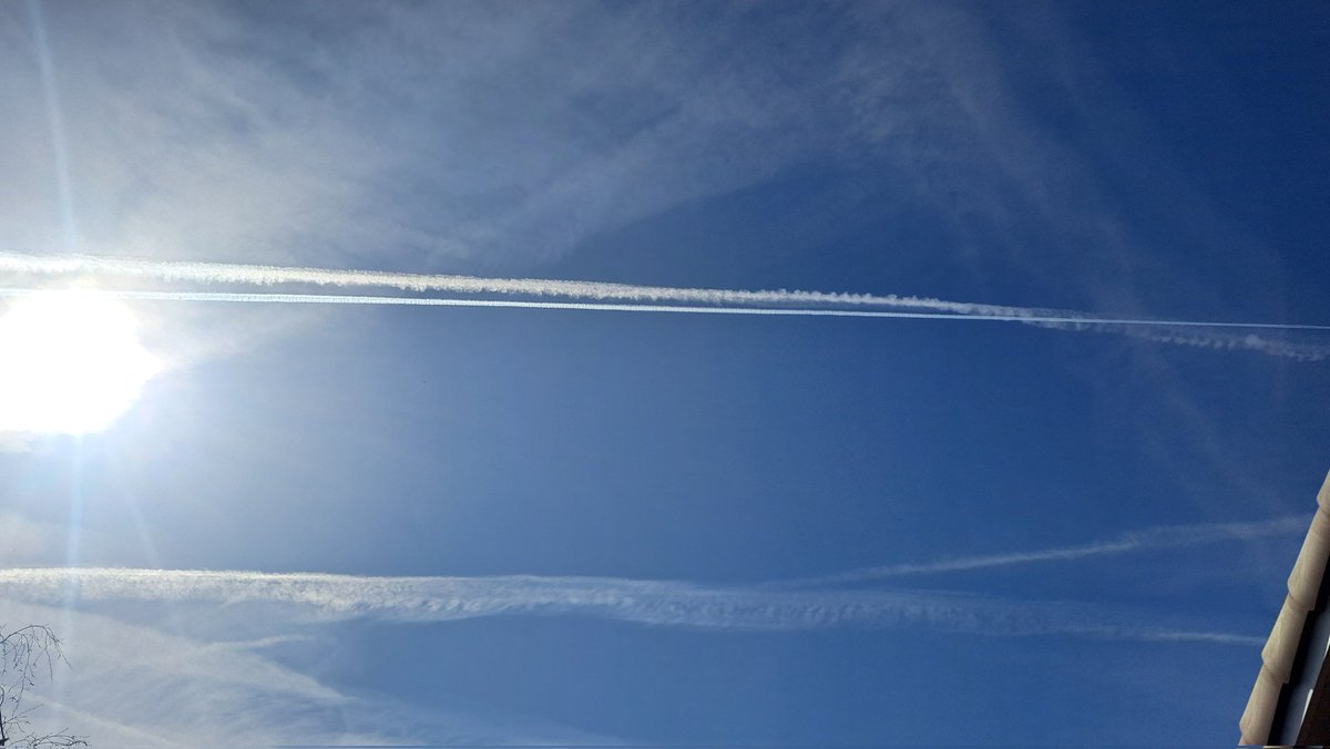 Christopher Hall tweet media