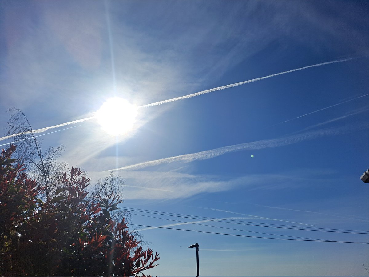 Christopher Hall tweet media