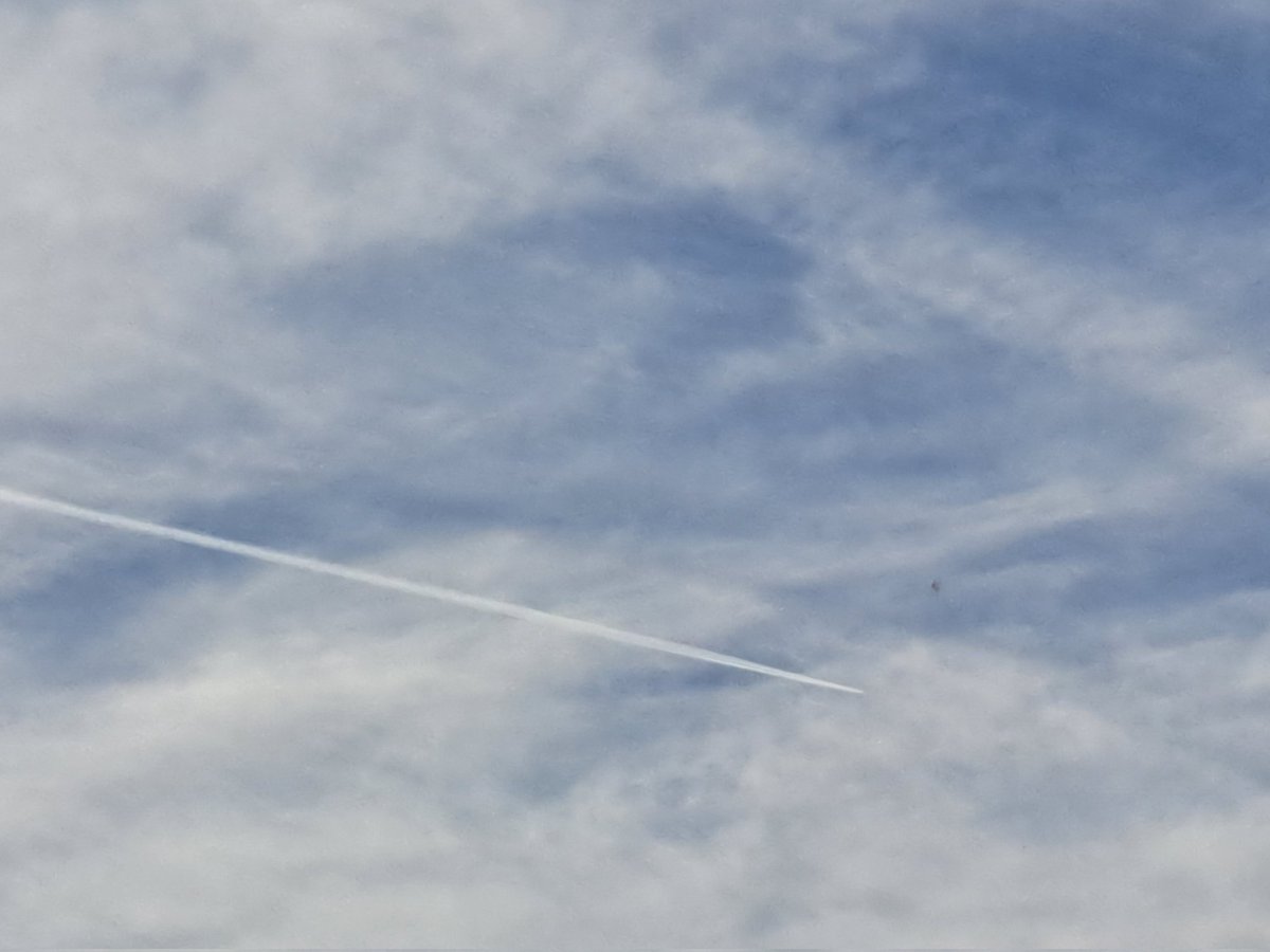 Christopher Hall tweet media