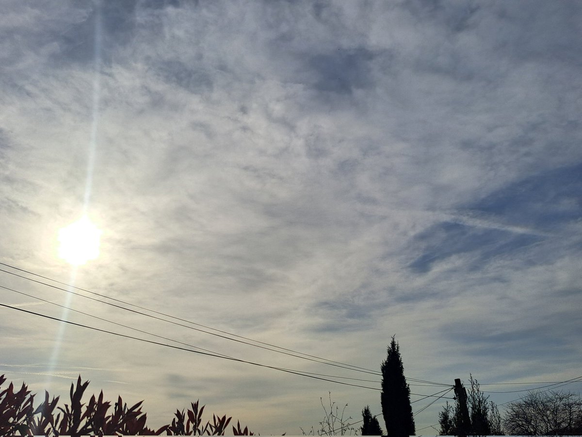 Christopher Hall tweet media