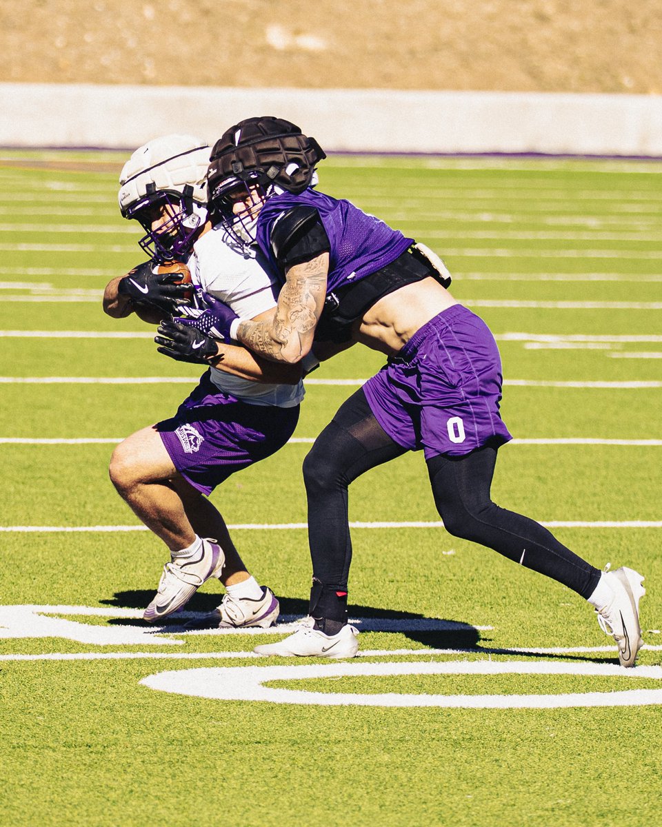 WNMU Mustang Football tweet media