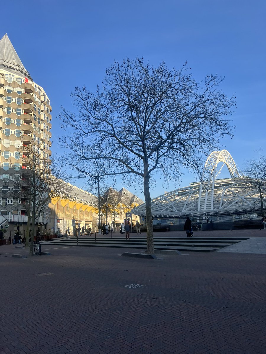 Xenon⛽ tweet media